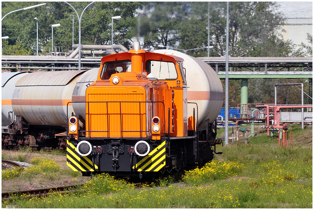 http://www.ssdw.de/2010/DSC_9048.jpg
