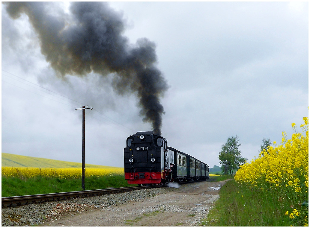 http://www.ssdw.de/2014/DSCN5013.JPG