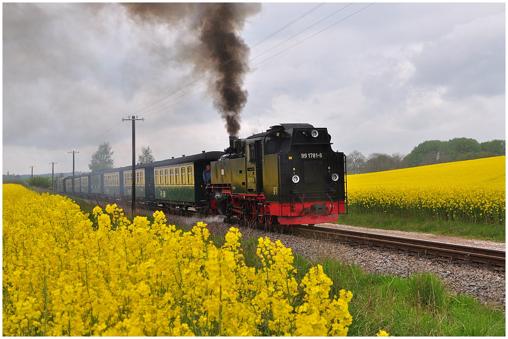 http://www.ssdw.de/2014/DSC_7653.JPG