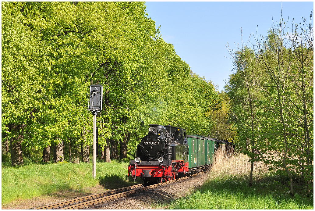 http://www.ssdw.de/2014/DSC_7668.JPG