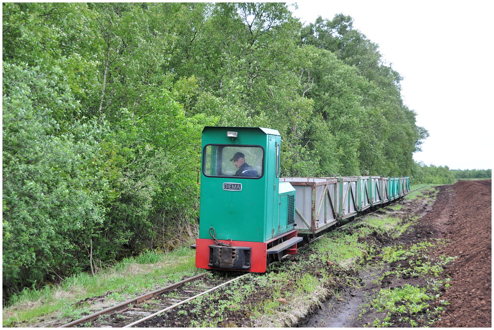 http://www.ssdw.de/2014/DSC_8611.JPG
